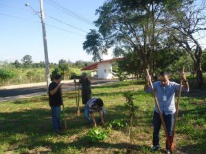 Quinta-Feira 07/04